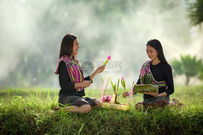 泰国传统至士气在稻田图片