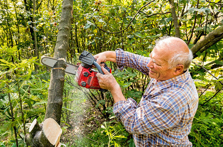 老人用电锯砍树背景图片