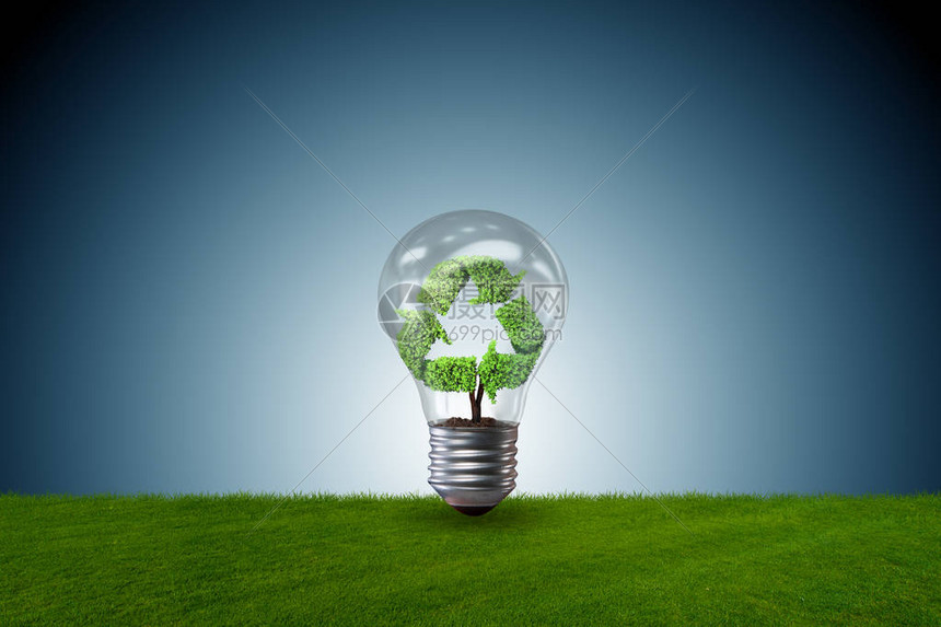 绿色环境概念中的灯泡图片