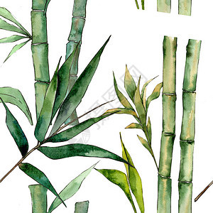 以水彩色风格的竹子树图案图片