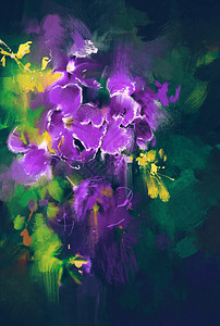 黑色背景的美丽的紫色花朵图片