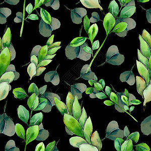 绿色黄杨木叶植物园花卉叶子背景纹理包装图案框架或边图片