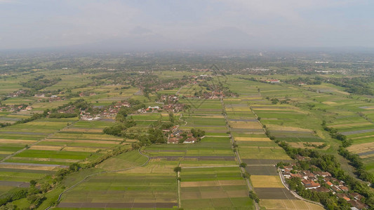 亚洲农业景观与稻田图片