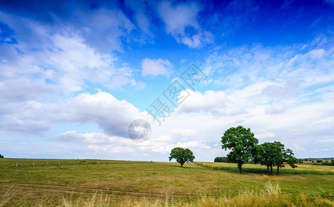 比利时白云的绿树与天空对峙在图片