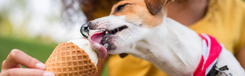 食吃冰淇淋的杰克罗塞尔图片