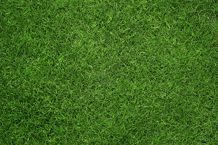 绿色草质贴近绿草质背图片