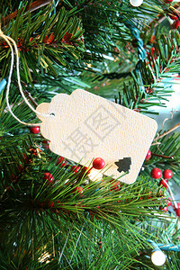 圣诞树上的节日快乐卡背景图片
