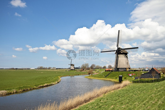 荷兰风景中的传统风车在荷兰图片