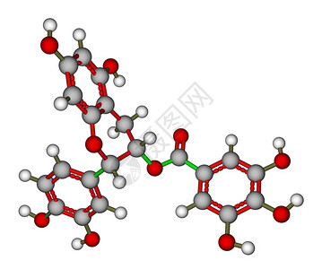 最优化的中子氯胆化物分子模型图片