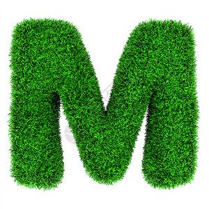 字母M由孤立的白色背景上的草制成图片