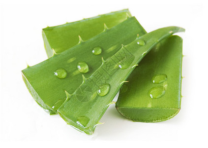 白色的清新aloevera图片