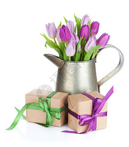 在喷壶和礼品盒中的紫色郁金香花束在白色背景中被隔离图片