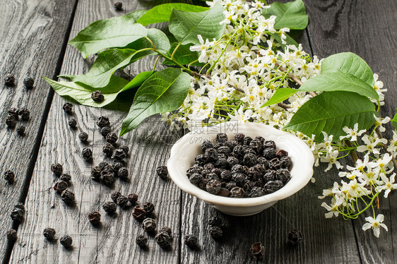 药用植物鸟樱桃Prunuspadus花枝和白图片