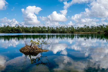 Everglades公园美丽的湖景观图片