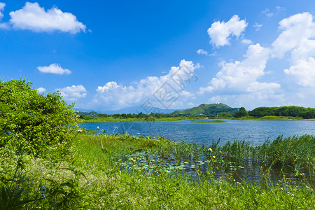 湿地湖泊景观图片