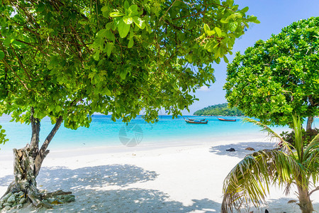 白沙滩上的绿树蓝色天空泰国利普图片