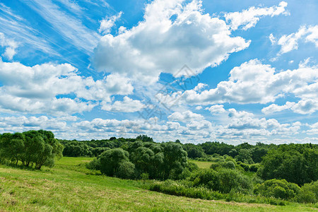 绿色的田野树木和蓝天白云图片
