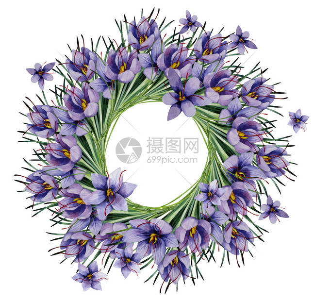 白底孤立的花边框Florframelcolorsaf图片