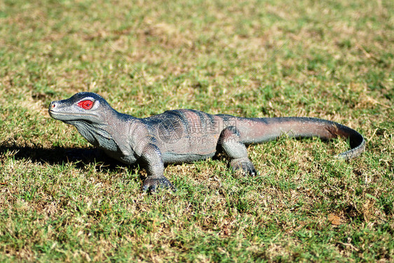 红眼睛的巨型人工灰色塑胶玩具蜥蜴让孩子们在阳光下的绿野外玩图片