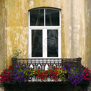 有花的老阳台在夏天时间图片