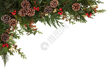 圣诞的边框有冬眠常春藤寄生虫和雪松西普丽叶背景图片