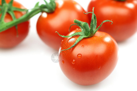 一束在白色的新鲜的红色蕃茄图片