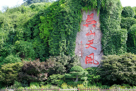 巫山风景区绿植石图片