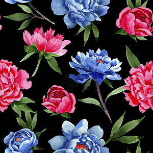 水彩风格的野花红色和蓝色牡丹花卉图案图片