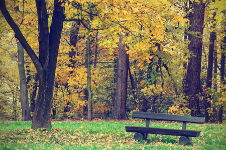 秋天公园的长椅图片