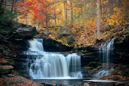 秋天的瀑布在公园里高清图片