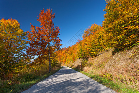 秋天开着空沥青路穿过图片