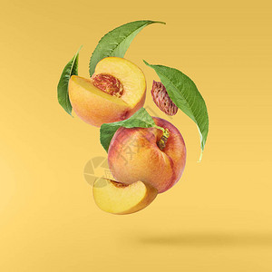 黄色背景上隔离着绿色叶子的新鲜飞行成熟桃子食品浮概念图片