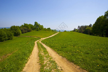 波兰美丽的绿山林附近草原上的道路图片