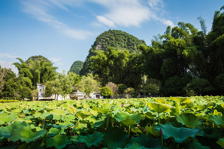 桂林阳朔县夏季阳光明媚的风景美丽的喀斯特山脉的景色在蓝天背景下令人惊图片