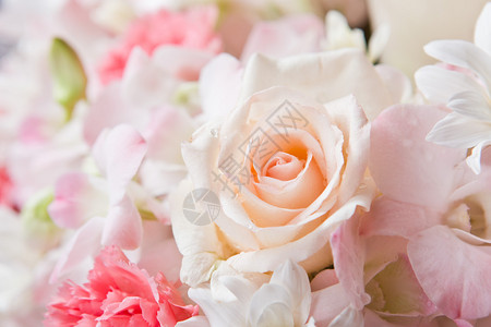 西方情人节介绍婚礼现场的美丽花朵背景背景