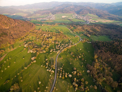 德国绿色山丘树木和道路的空中图片