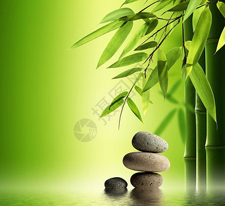 竹叶禅石背景图片