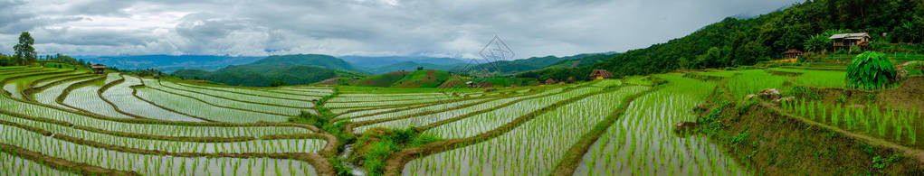 BanPapongpieng梯田图片