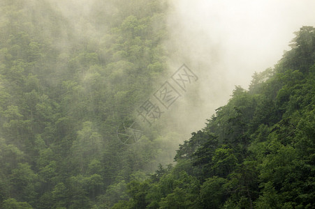 山林大雨图片