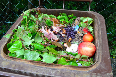 准备回收的垃圾箱中家庭生物有机食品废物图片