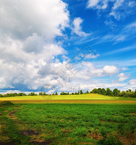 农村阳光明媚的一天绿草和蓝天图片