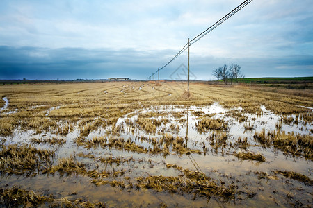 收获田被淹的乡村景观图片