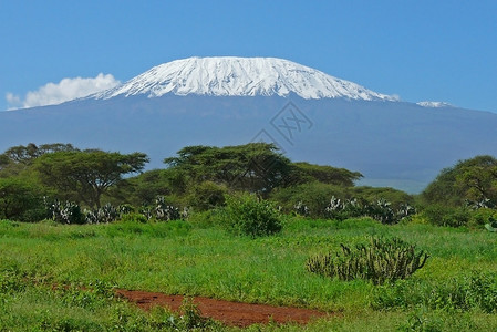 肯尼亚乞力马扎罗山峰Kilima图片
