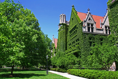 与芝加哥大学校园蓝天对图片