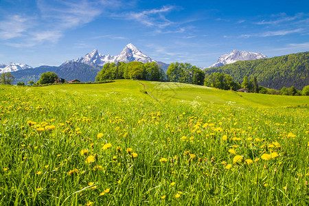阿尔卑斯山的古代风景观图片