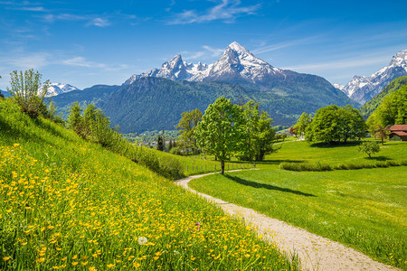 阿尔卑斯山的古代夏日风景图片