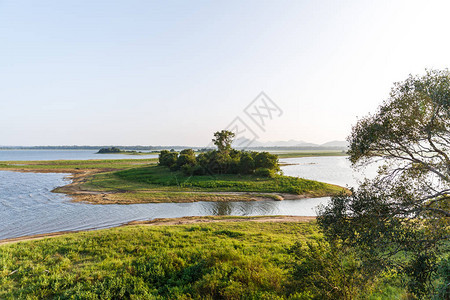 美丽的河流风景绿树和清蓝的天SrilankaMin图片