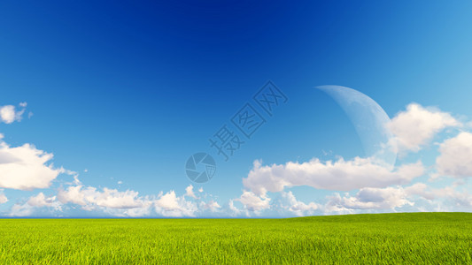 高山火绒草景观绿草蓝云天空3d渲染设计图片