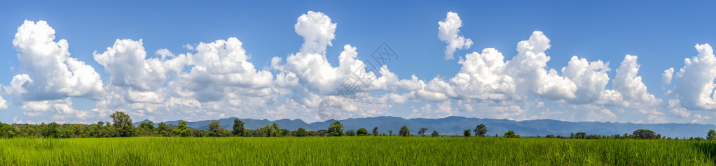 蓝色云彩天空下的绿色领域背景图片