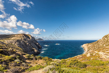 从卡尔维附近的科西嘉岛西海岸的雷维拉塔Revelata的马基斯和多岩石的海岸线图片